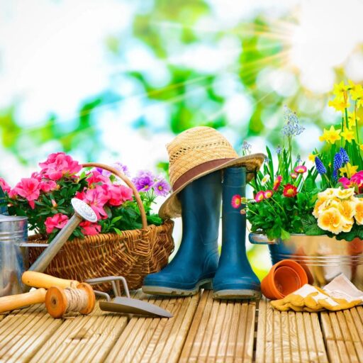 Garden Workday
