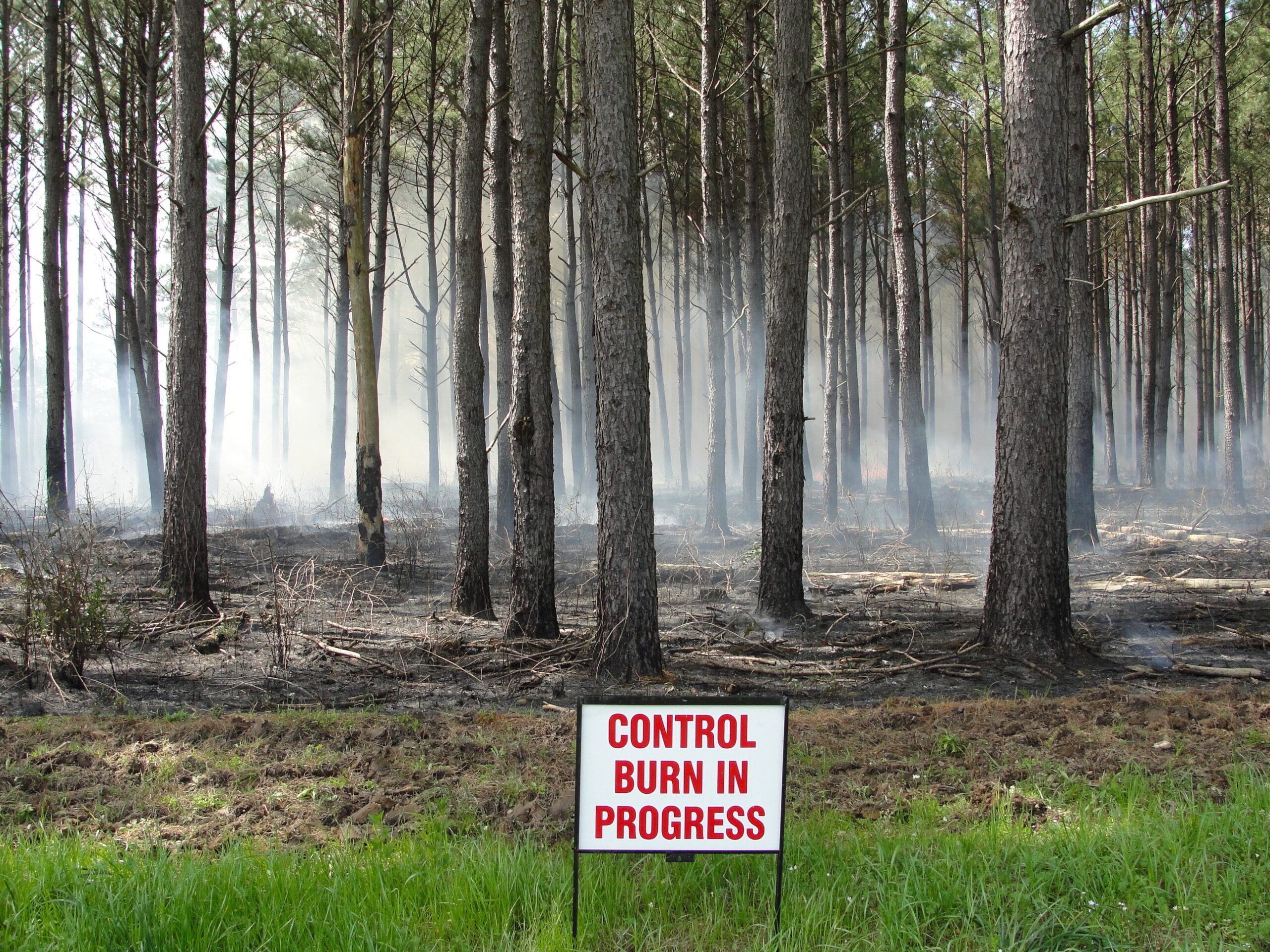 Controlled burn