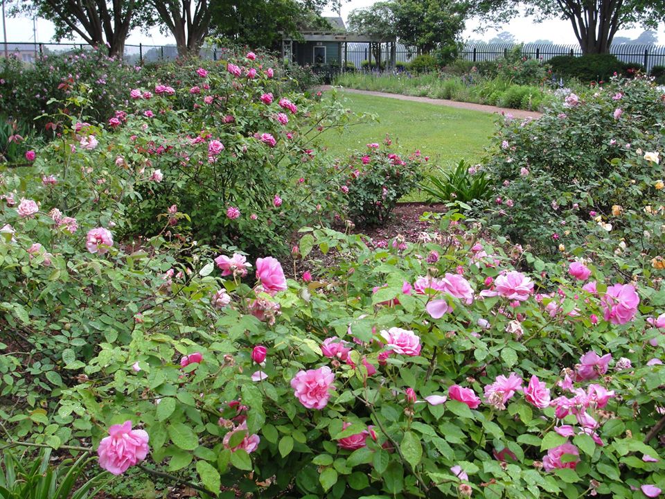 The Heritage Garden at the Tyler Botanical Gardens