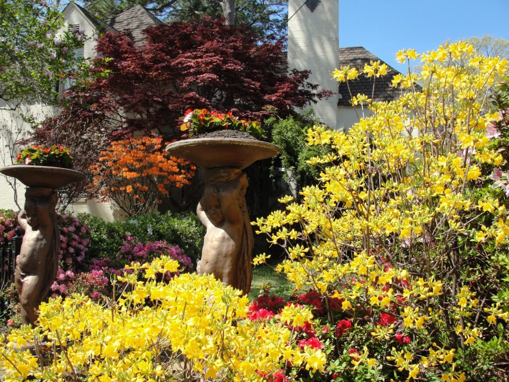 June 22 Using Color in Your Garden P Sigman Smith County Master Gardeners Using color in your landscape