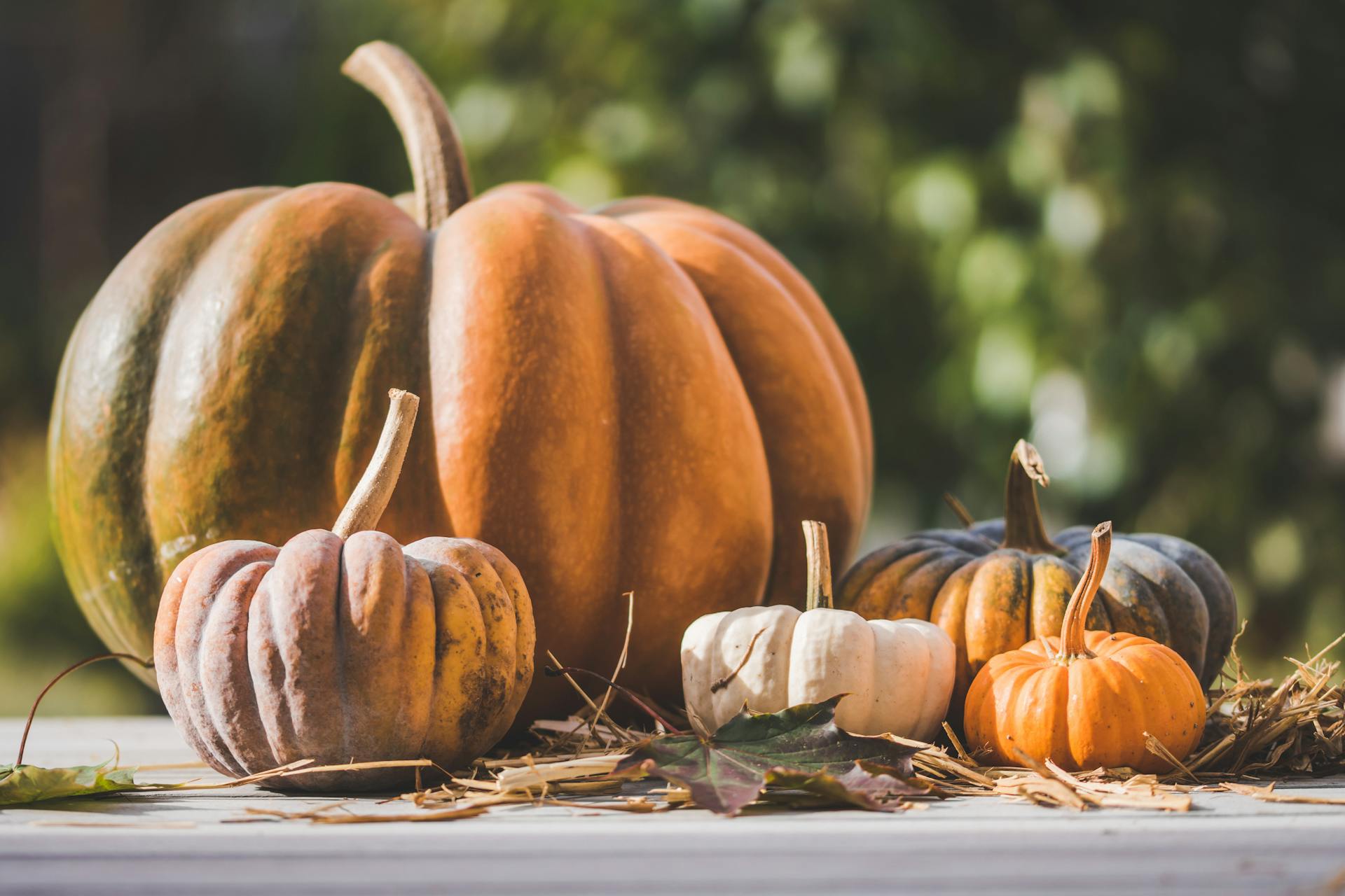 Pumpkins