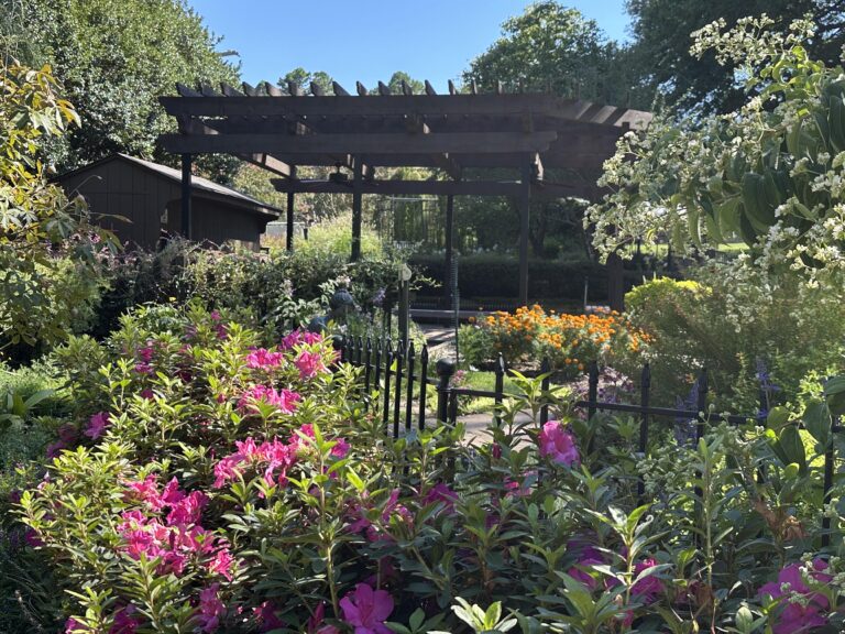 The IDEA Garden