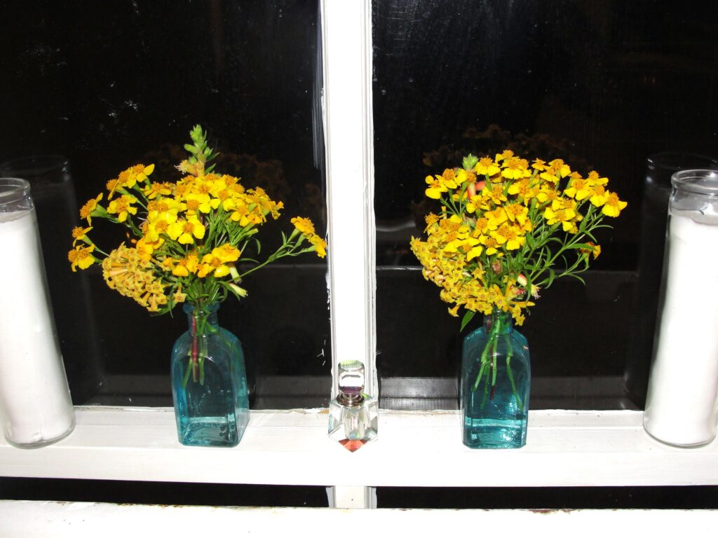 Day of the Dead Marigolds