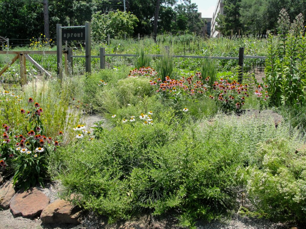 Sustainable or Regenerative Gardening