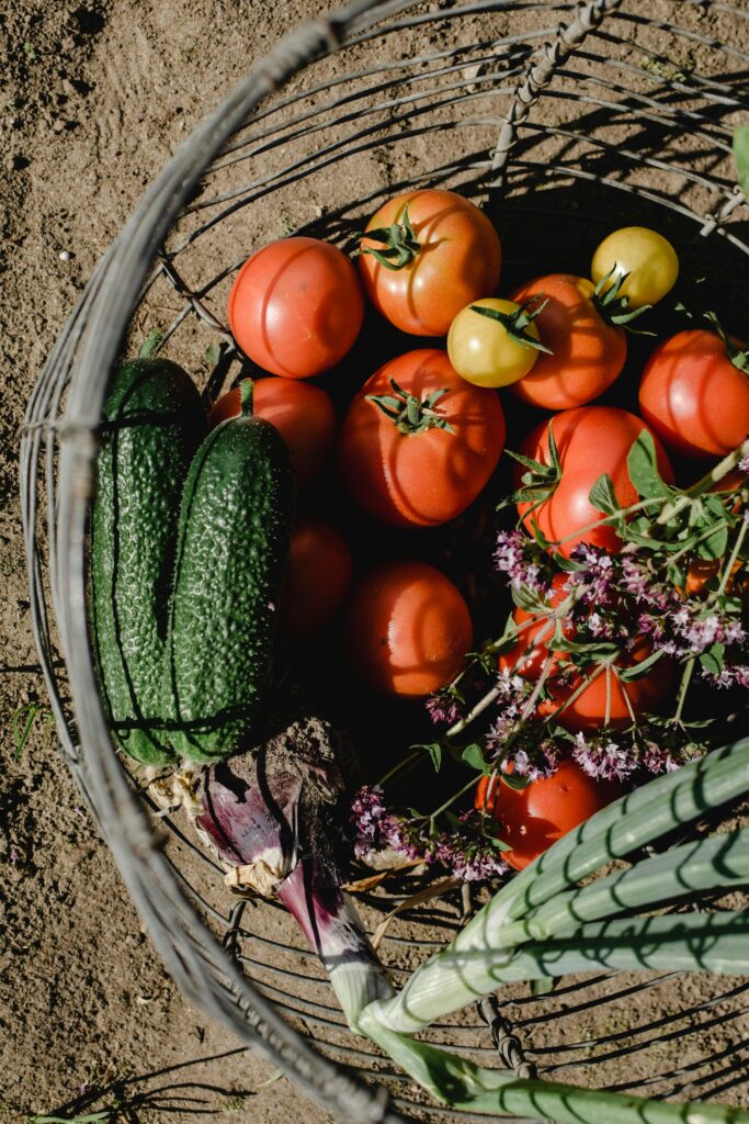 Cool-season crops by Bronzini with Pexels