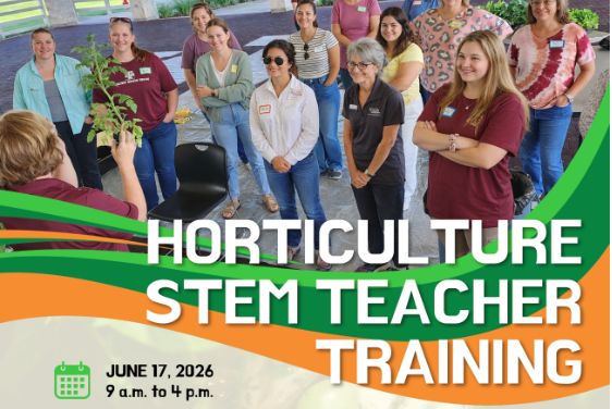 STEM Teacher Training