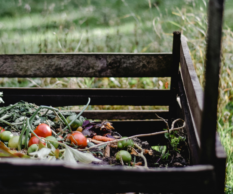 Start Composting