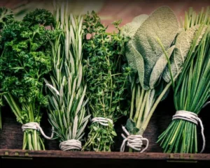 Culinary Herbs