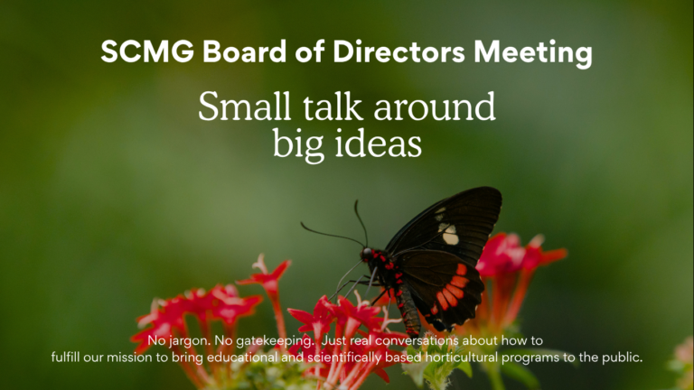 SCMG BOD Meeting