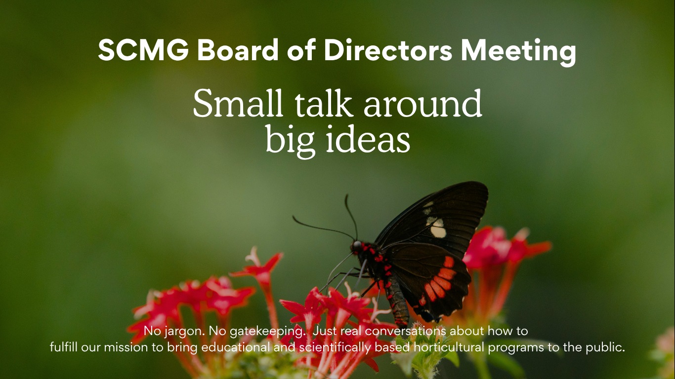 SCMG BOD Meeting