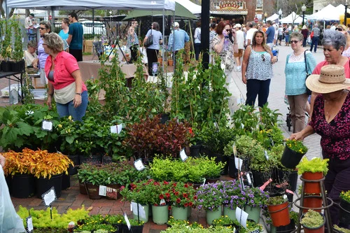Lindal Library Plant Sale