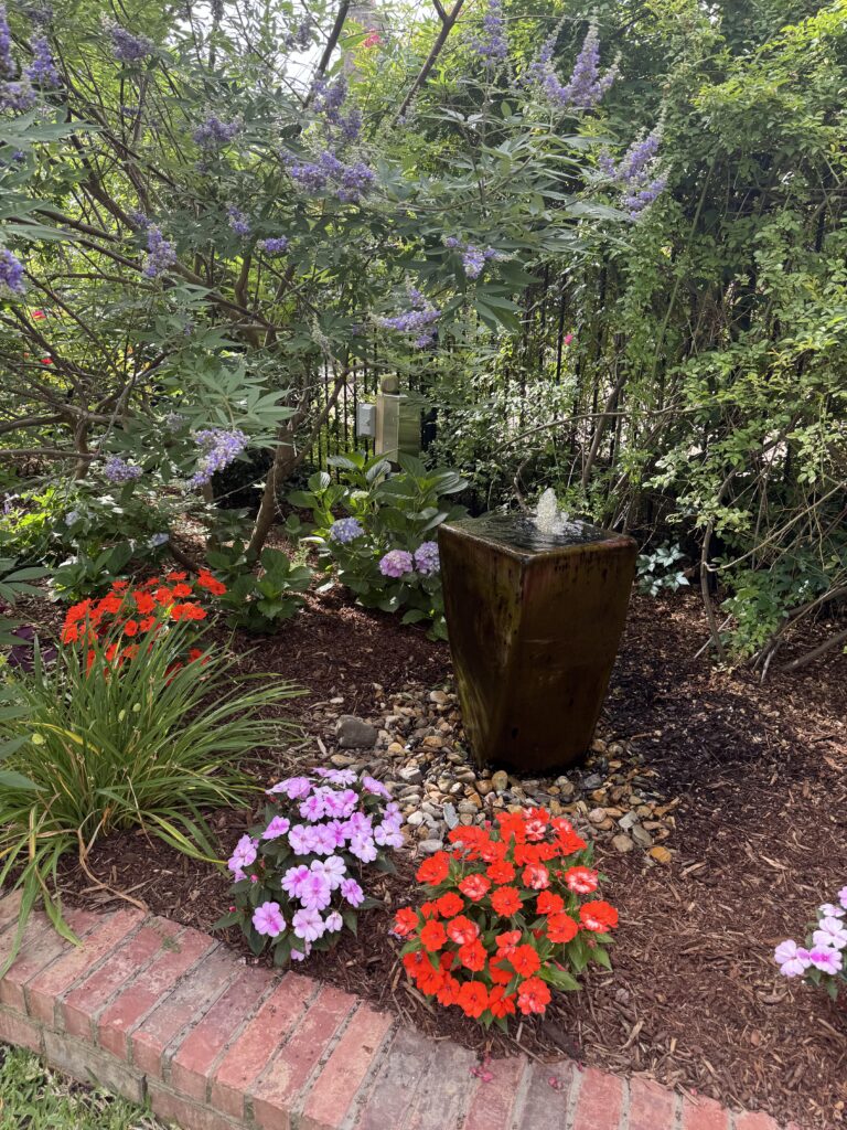 Copy of 20250523141657251iOS Smith County Master Gardeners