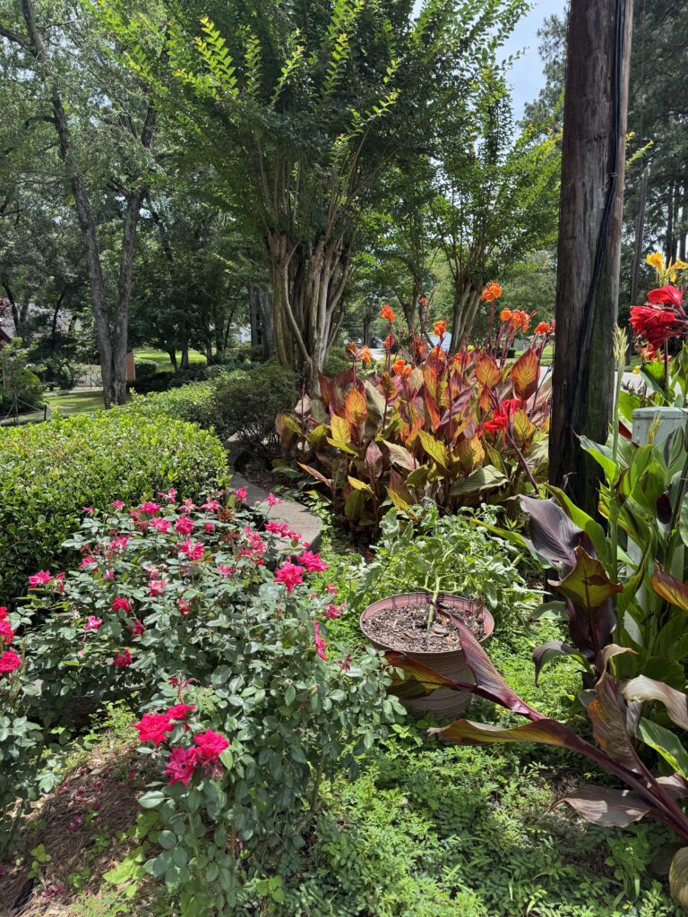 Copy of 20250609174601296iOS00 Smith County Master Gardeners