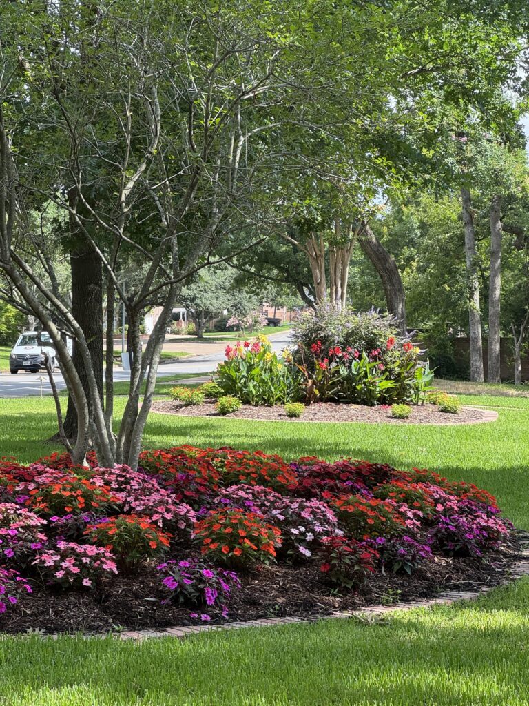 Levin Garden 2026 Tour