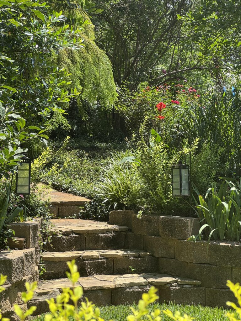 Copy of 20250616170456801iOS Smith County Master Gardeners