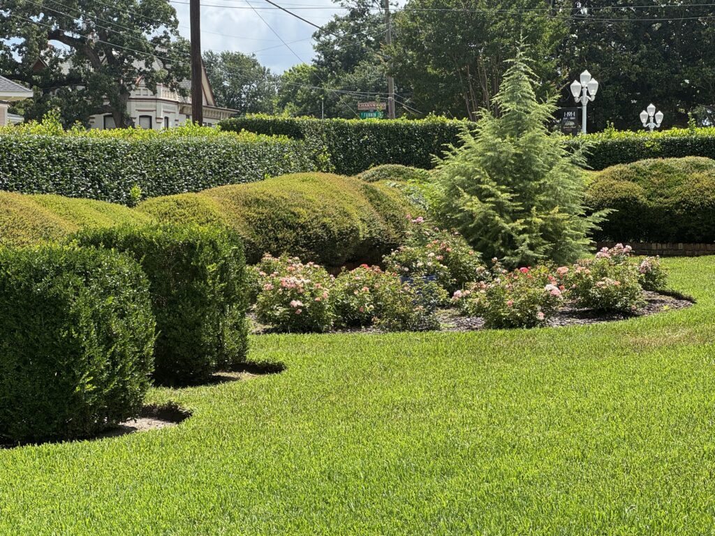 Copy of 20250620170703988iOS00 Smith County Master Gardeners