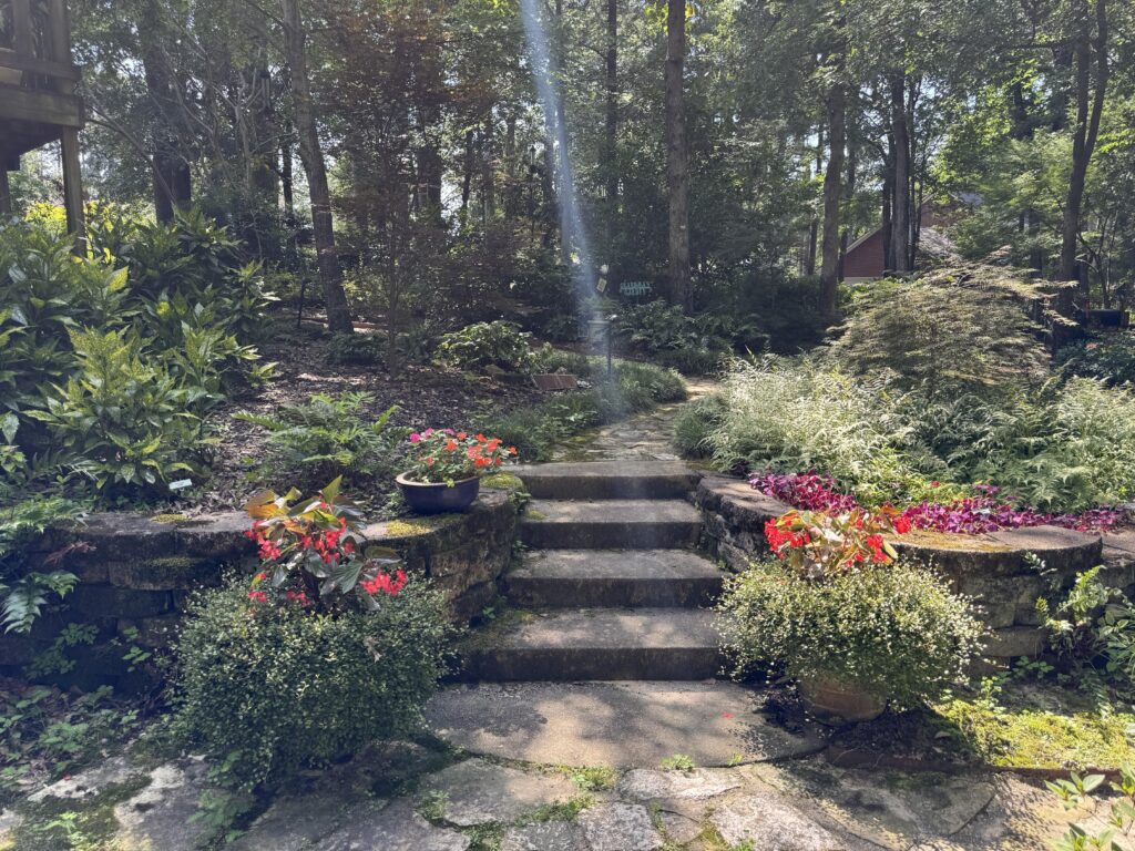 Copy of 20250620205238035iOS00 Smith County Master Gardeners