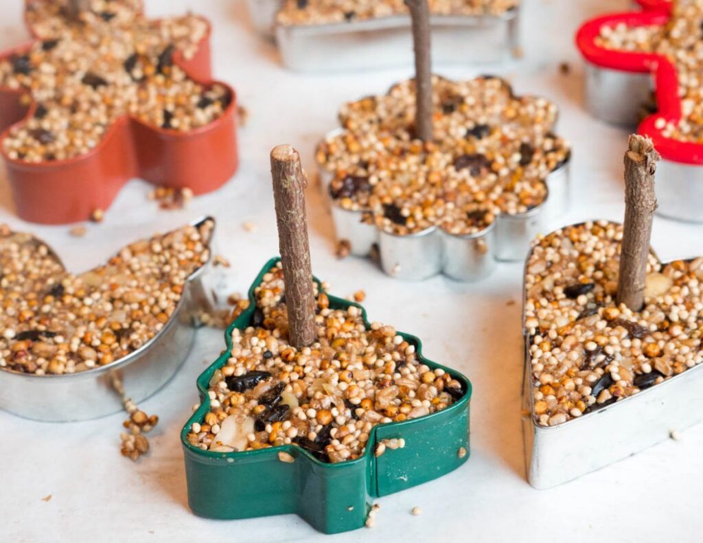 June 14 Fun Garden Projects with Kids A Trent Smith County Master Gardeners Fun Garden Projects with Kids