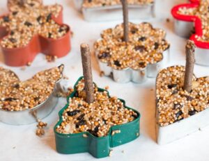 Fun Garden Projects with Kids