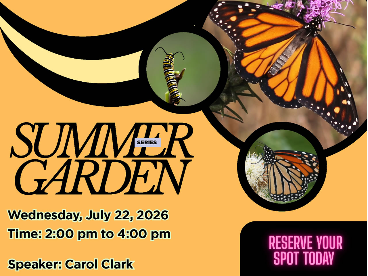 Build a Monarch Waystation - part of the Summer Series