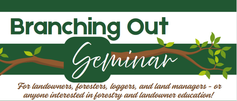Branching out Seminar