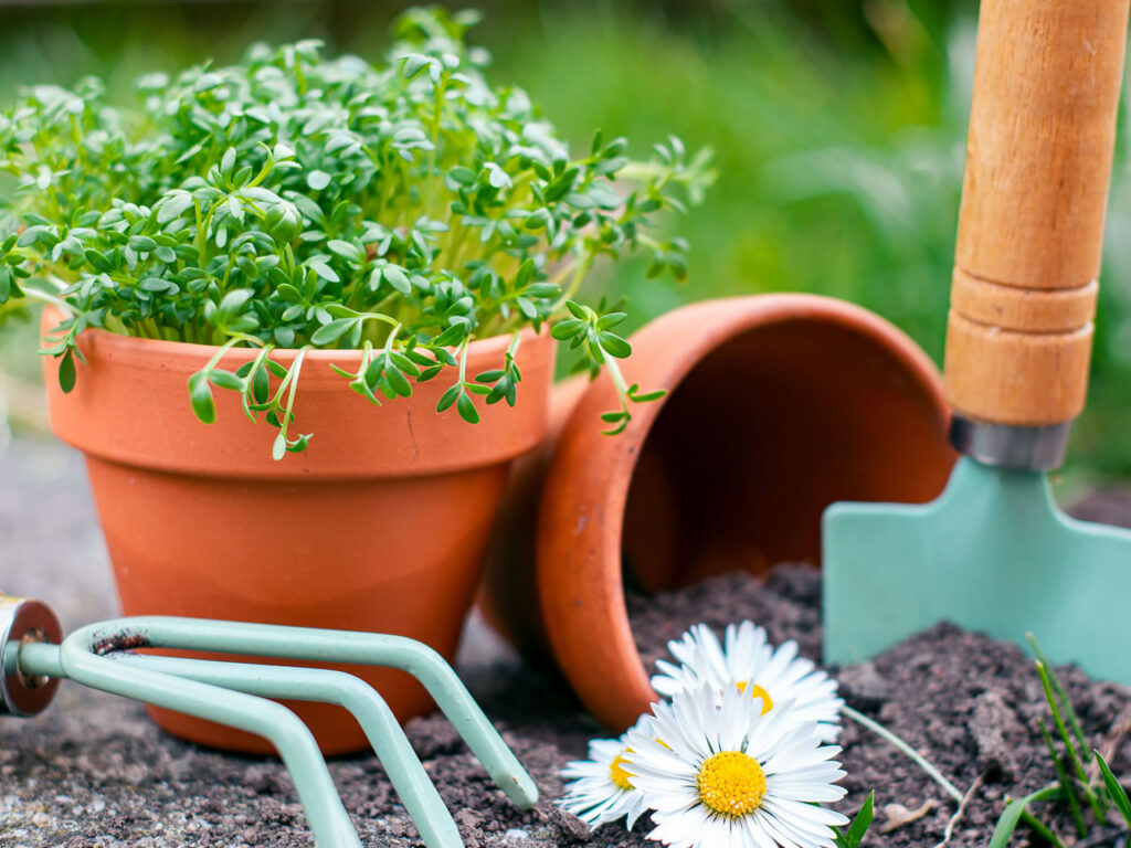 gardening articles Smith County Master Gardeners Gardening Articles are one of our Gardening Resources by Pexel Katja B