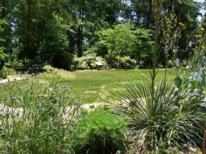 Pineywoods Native Plant Center