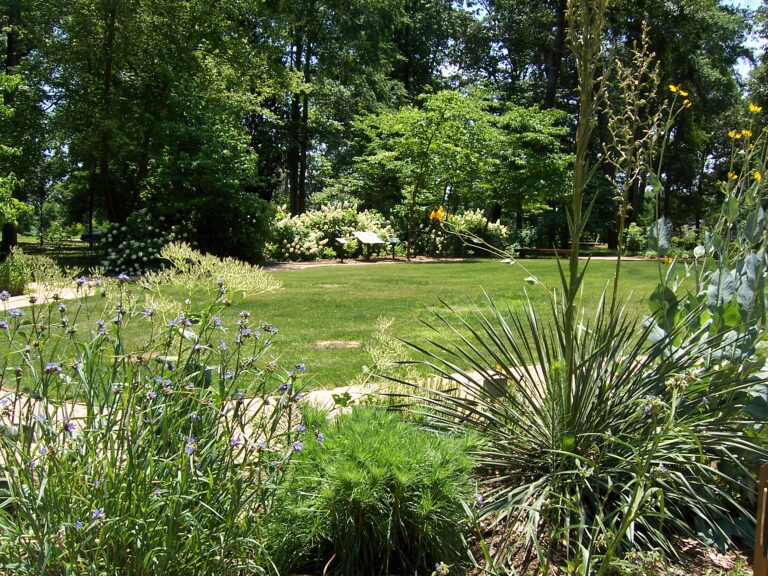 Pineywoods Native Plant Center