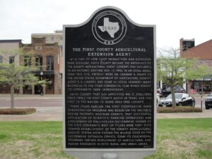First County Agent