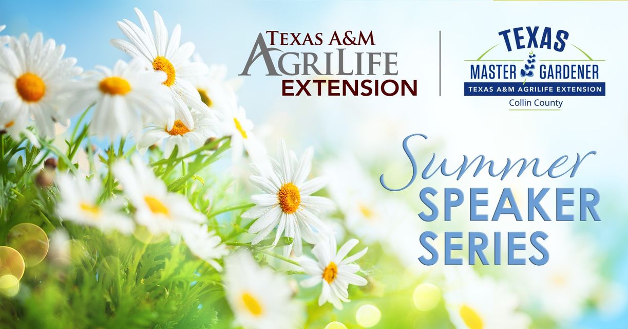 Dr. Allan Armitage at Collin County