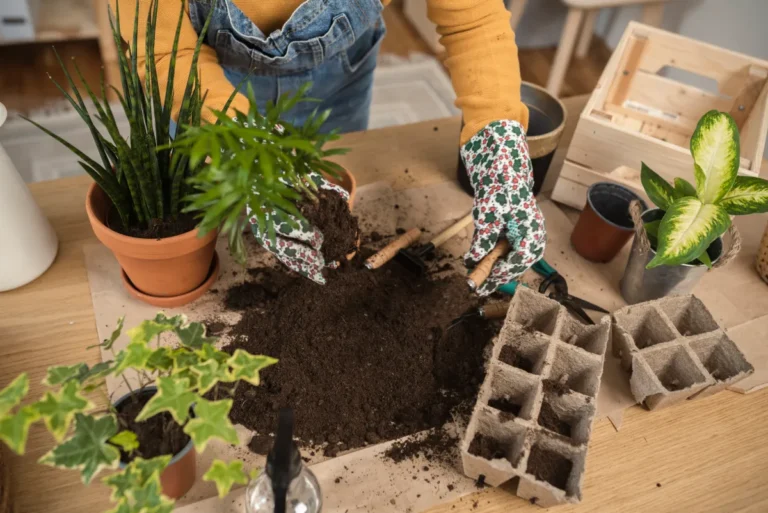 Plant Propagation