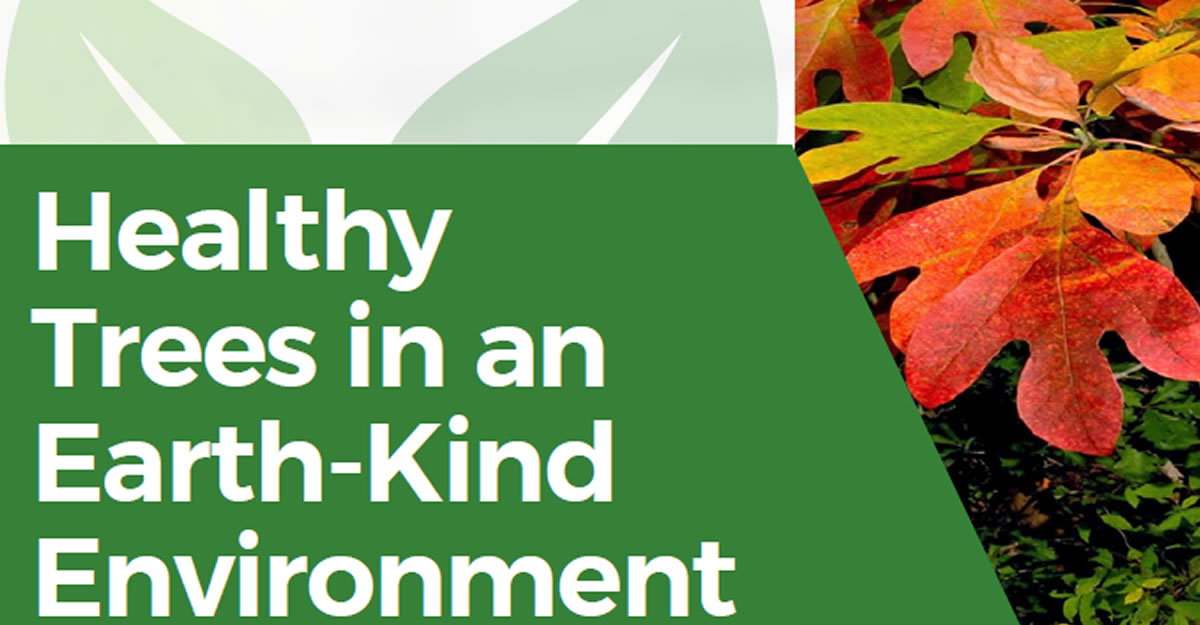 Healthy Trees